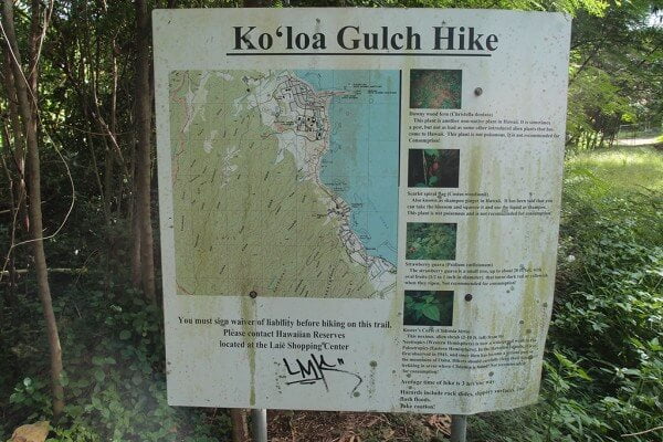 ハワイの究極のハイキングスポット「Koloa Gulch」