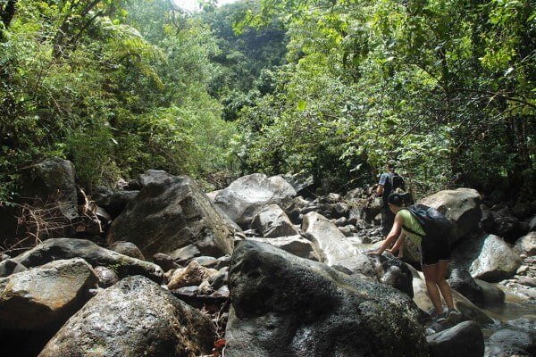Koloa Gulchの険しい道中