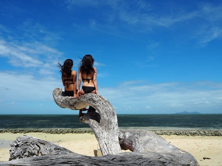 オーストラリアのワーキングホリデー留学