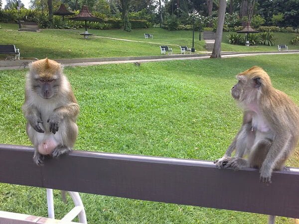 海外就職に関する画像