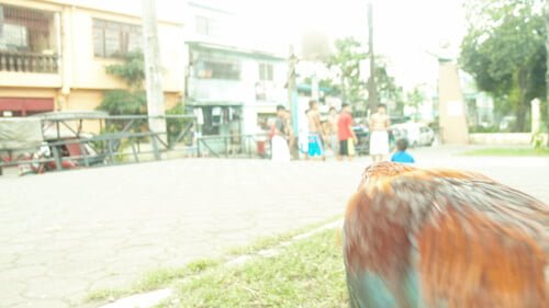 フィリピンの風景